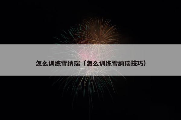 怎么训练雪纳瑞（怎么训练雪纳瑞技巧）