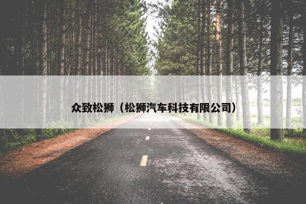 众致松狮（松狮汽车科技有限公司）
