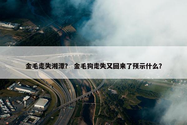 金毛走失湘潭？ 金毛狗走失又回来了预示什么？