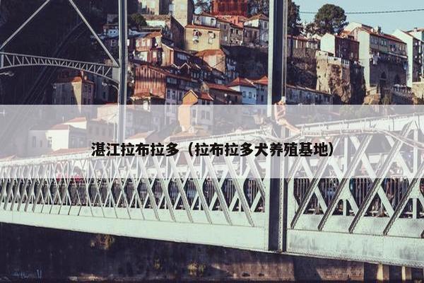 湛江拉布拉多（拉布拉多犬养殖基地）