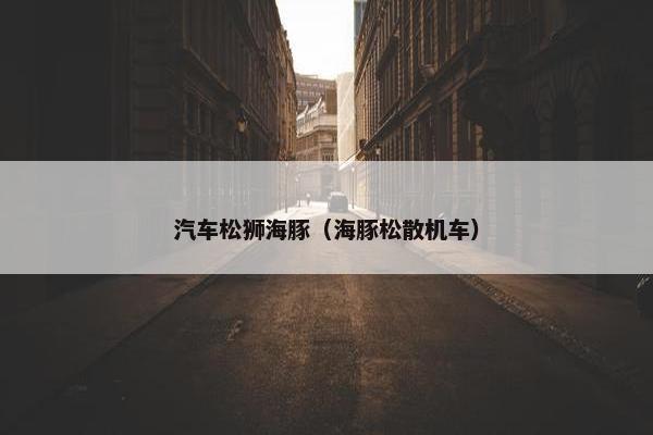 汽车松狮海豚（海豚松散机车）