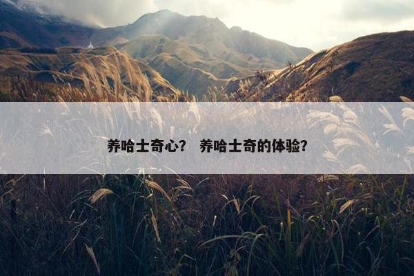 养哈士奇心？ 养哈士奇的体验？