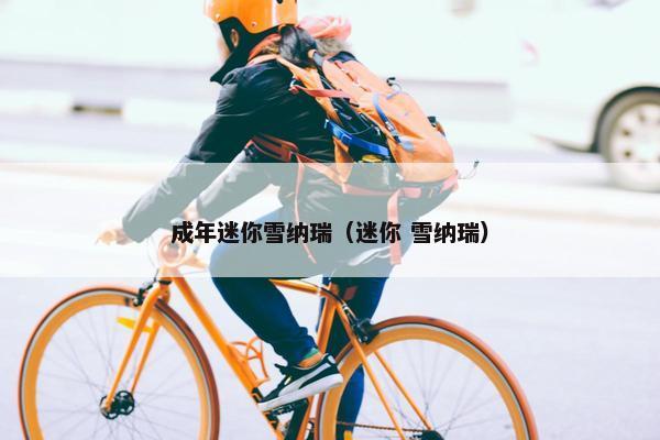 成年迷你雪纳瑞（迷你 雪纳瑞）