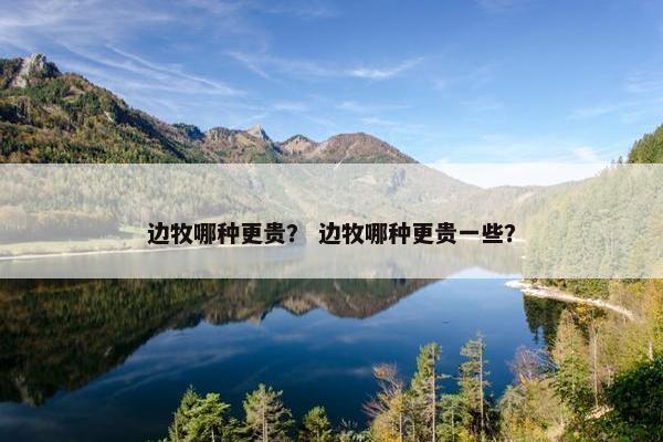 边牧哪种更贵？ 边牧哪种更贵一些？