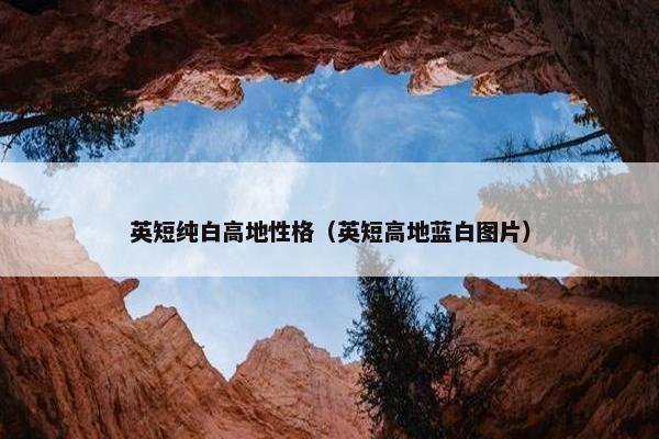 英短纯白高地性格（英短高地蓝白图片）