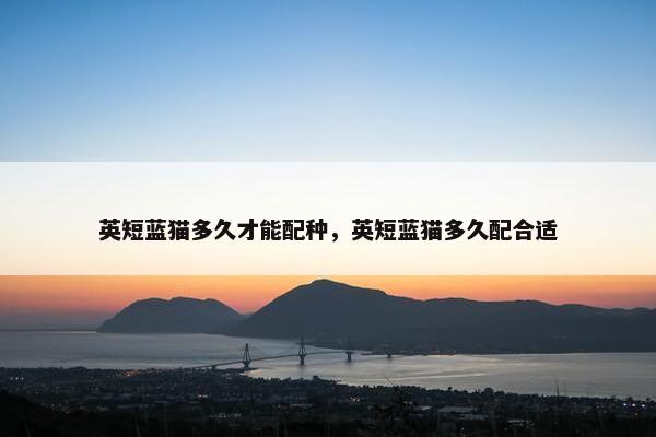 英短蓝猫多久才能配种，英短蓝猫多久配合适