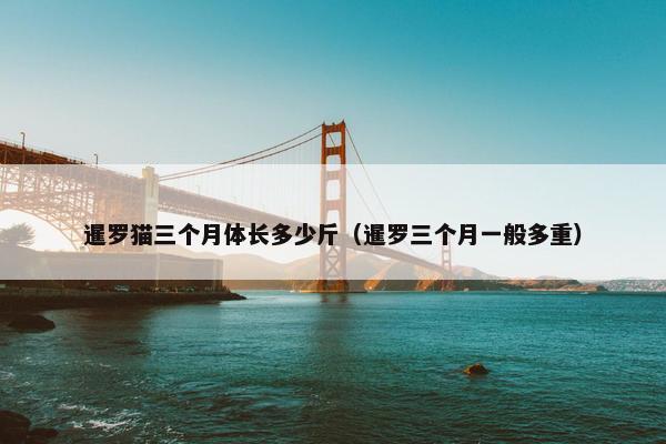暹罗猫三个月体长多少斤（暹罗三个月一般多重）