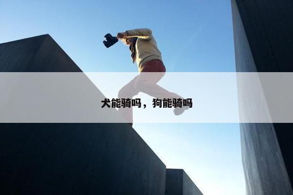 犬能骑吗，狗能骑吗