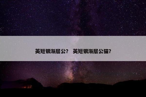英短银渐层公？ 英短银渐层公猫？