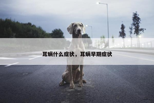 耳螨什么症状，耳螨早期症状