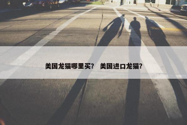 美国龙猫哪里买？ 美国进口龙猫？