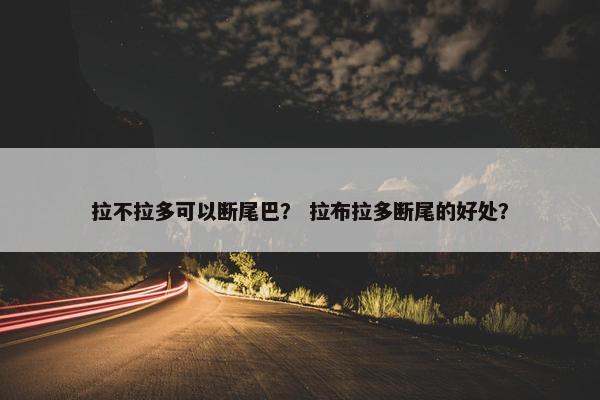 拉不拉多可以断尾巴？ 拉布拉多断尾的好处？