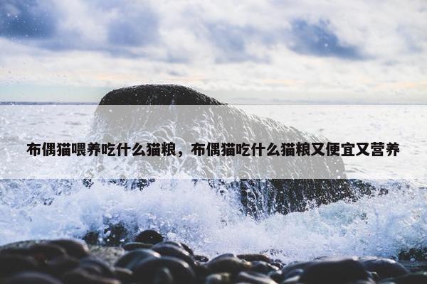布偶猫喂养吃什么猫粮，布偶猫吃什么猫粮又便宜又营养