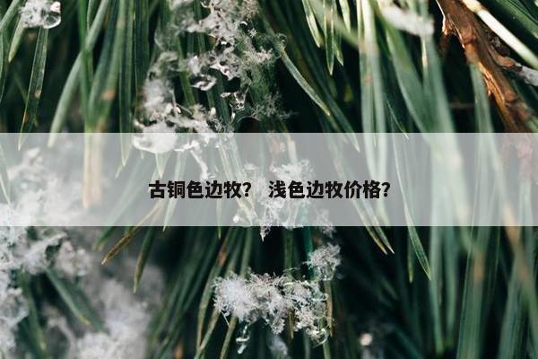 古铜色边牧？ 浅色边牧价格？