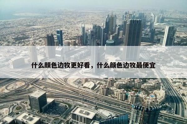 什么颜色边牧更好看，什么颜色边牧最便宜