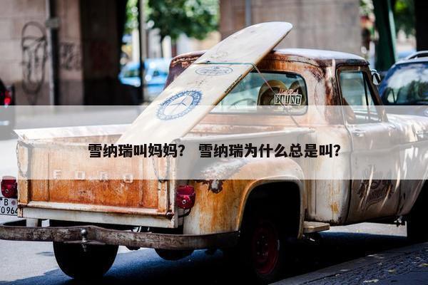 雪纳瑞叫妈妈？ 雪纳瑞为什么总是叫？
