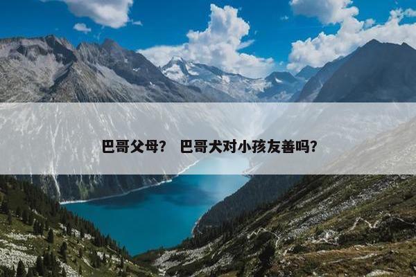 巴哥父母？ 巴哥犬对小孩友善吗？