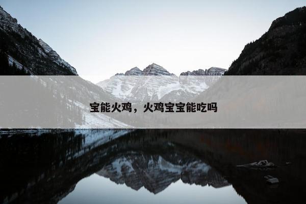 宝能火鸡，火鸡宝宝能吃吗