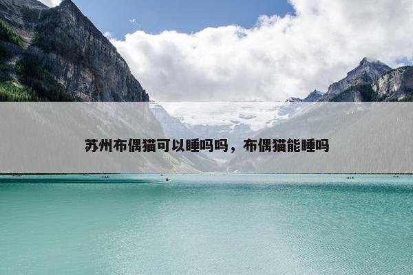 苏州布偶猫可以睡吗吗，布偶猫能睡吗