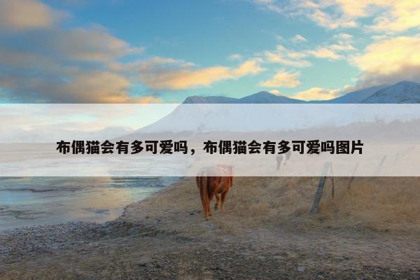 布偶猫会有多可爱吗，布偶猫会有多可爱吗图片