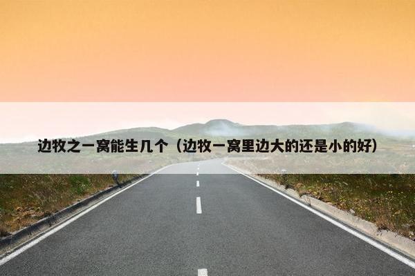 边牧之一窝能生几个（边牧一窝里边大的还是小的好）