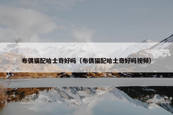 布偶猫配哈士奇好吗（布偶猫配哈士奇好吗视频）