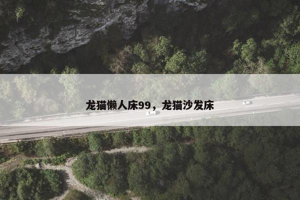 龙猫懒人床99，龙猫沙发床