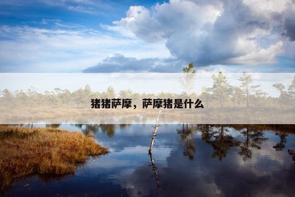 猪猪萨摩，萨摩猪是什么