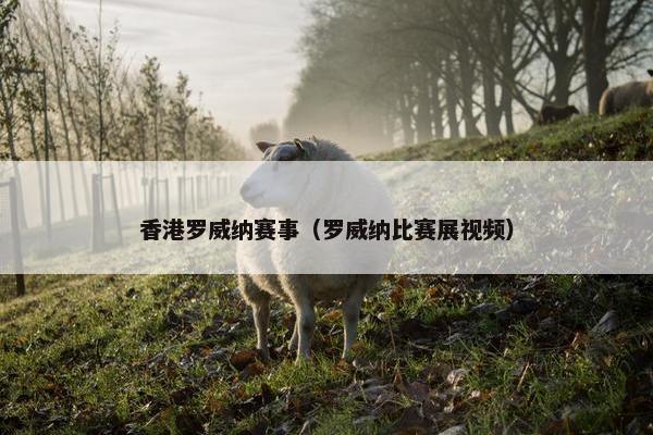 香港罗威纳赛事（罗威纳比赛展视频）