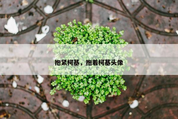 抱紧柯基，抱着柯基头像