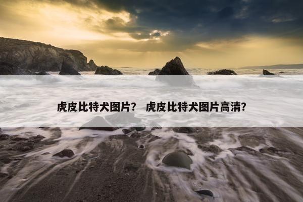 虎皮比特犬图片？ 虎皮比特犬图片高清？