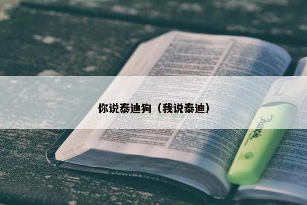 你说泰迪狗（我说泰迪）