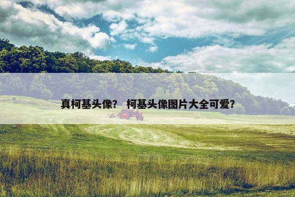 真柯基头像？ 柯基头像图片大全可爱？