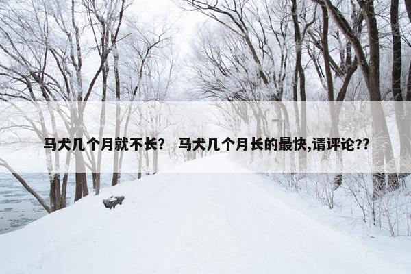 马犬几个月就不长？ 马犬几个月长的最快,请评论?？