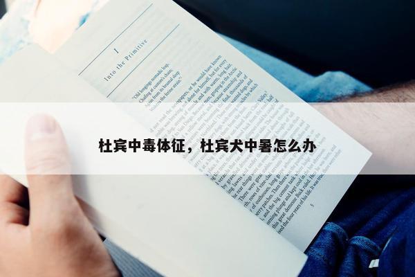 杜宾中毒体征，杜宾犬中暑怎么办
