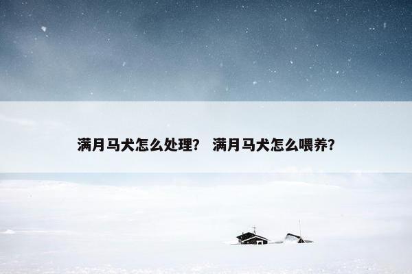 满月马犬怎么处理？ 满月马犬怎么喂养？
