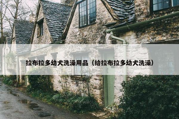 拉布拉多幼犬洗澡用品（给拉布拉多幼犬洗澡）