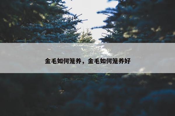 金毛如何笼养，金毛如何笼养好