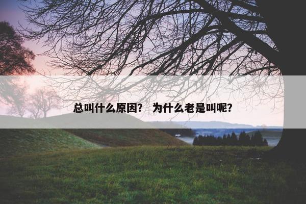 总叫什么原因？ 为什么老是叫呢？