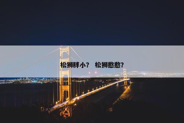 松狮胖小？ 松狮憨憨？
