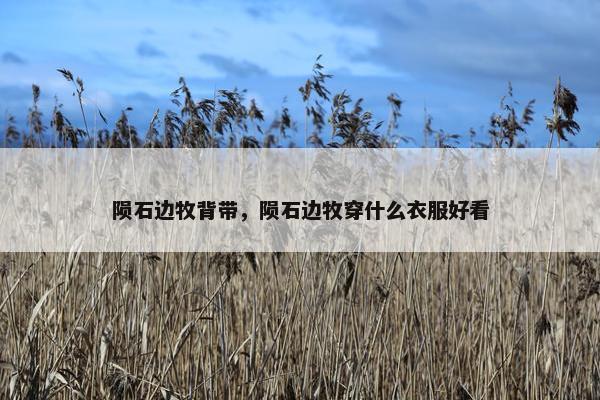 陨石边牧背带，陨石边牧穿什么衣服好看