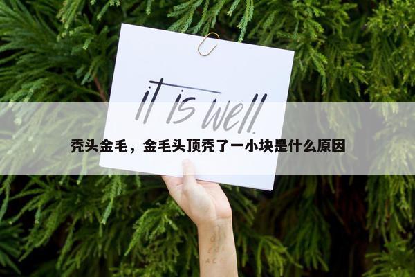 秃头金毛，金毛头顶秃了一小块是什么原因