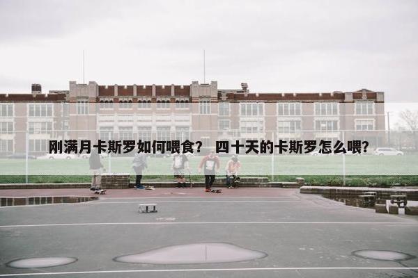 刚满月卡斯罗如何喂食？ 四十天的卡斯罗怎么喂？
