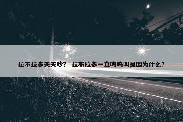 拉不拉多天天吵？ 拉布拉多一直呜呜叫是因为什么？