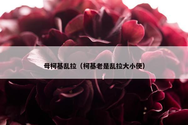 母柯基乱拉（柯基老是乱拉大小便）