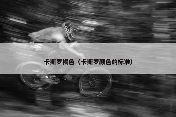 卡斯罗褐色（卡斯罗颜色的标准）