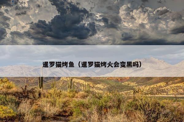 暹罗猫烤鱼（暹罗猫烤火会变黑吗）