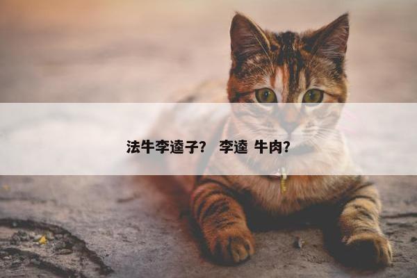 法牛李逵子？ 李逵 牛肉？