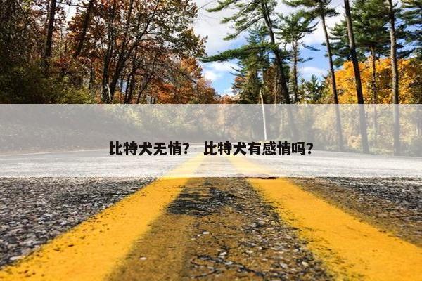 比特犬无情？ 比特犬有感情吗？