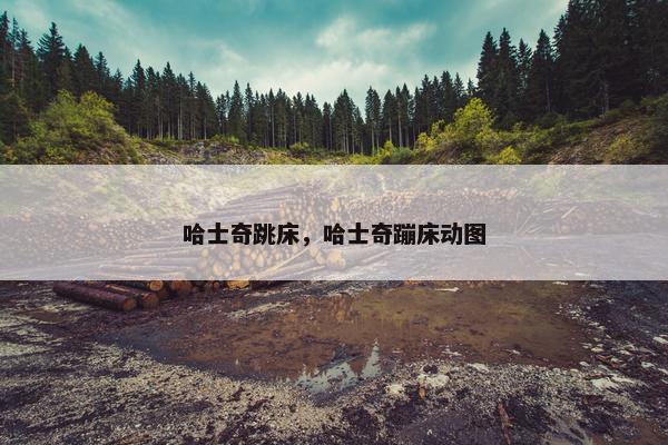 哈士奇跳床，哈士奇蹦床动图